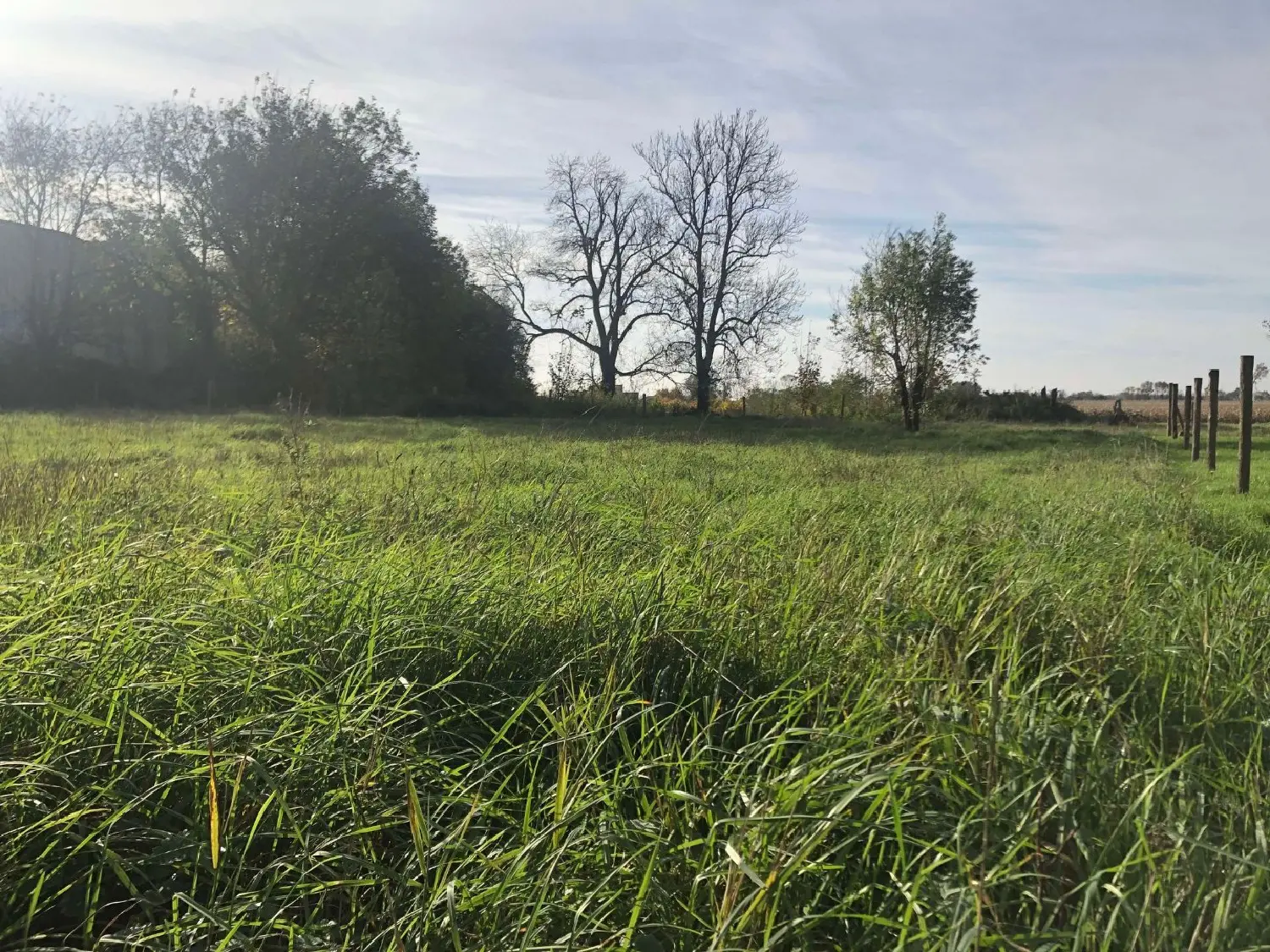  te koop huis La Tourlandry Maine-et-Loire 8