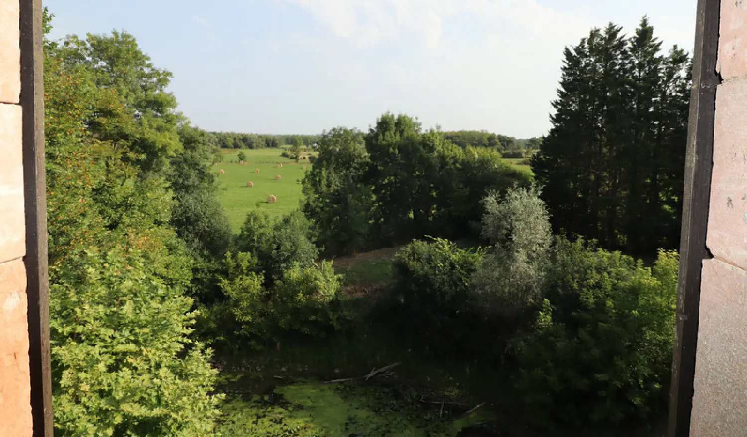  à vendre maison La Truchère Saône-et-Loire 8
