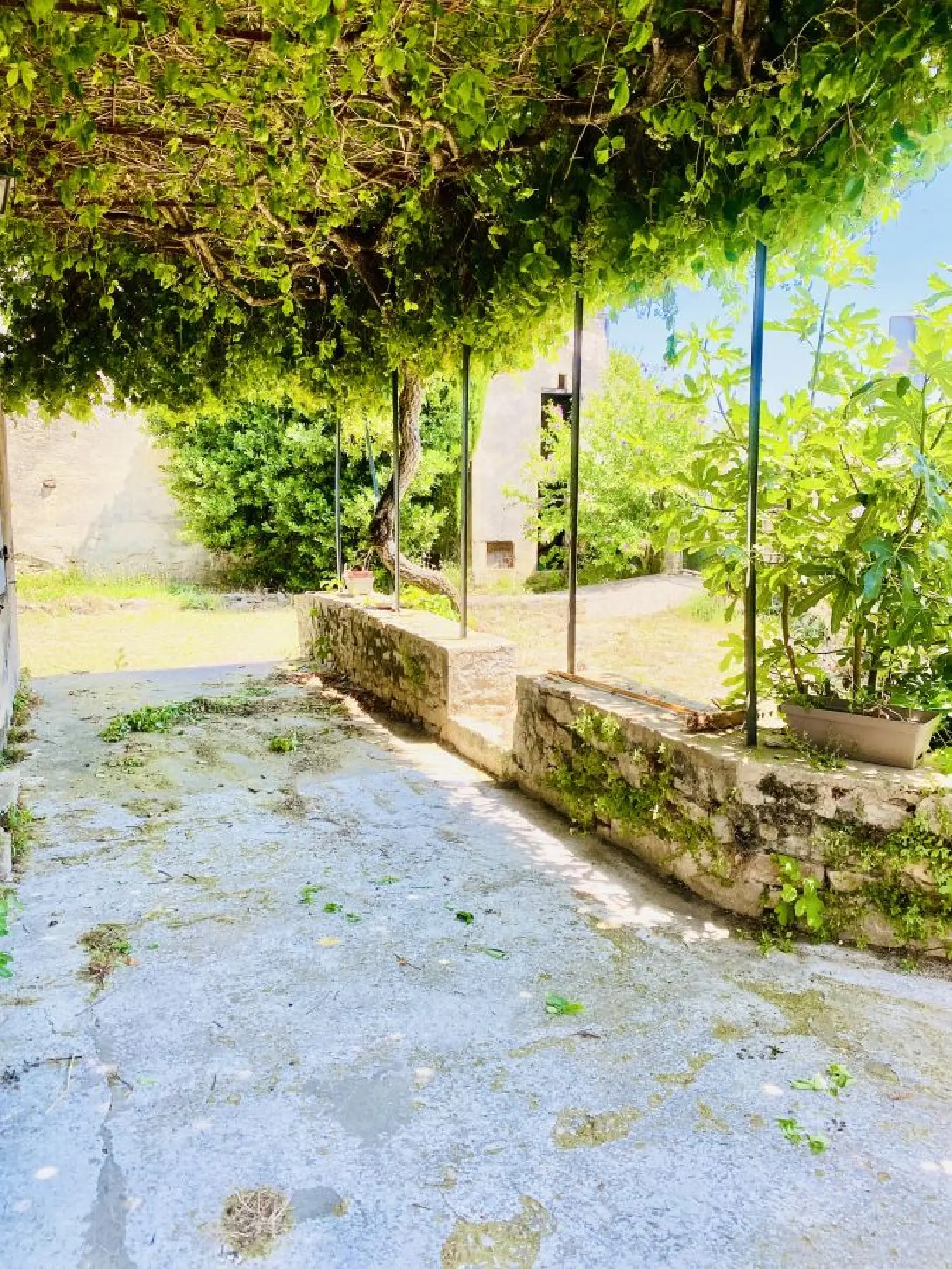  for sale house Lagarde-Paréol Vaucluse 5