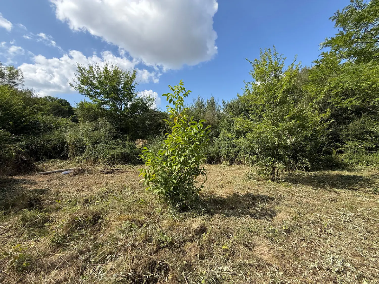  te koop huis Lalanne Hautes-Pyrénées 3