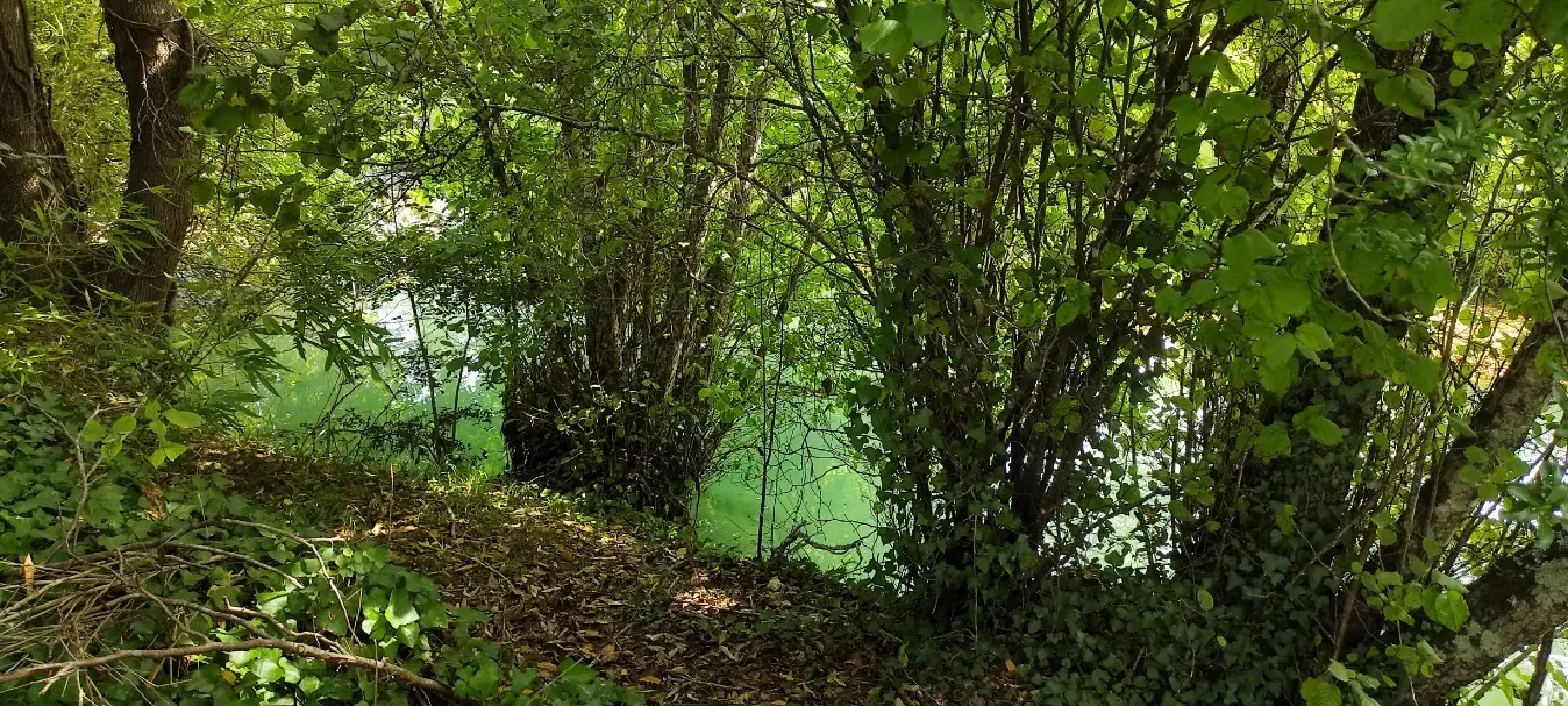 kaufen Haus Lalinde Dordogne 7