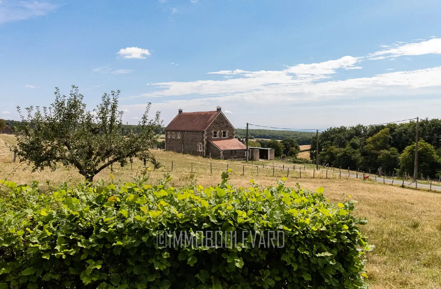 te koop huis Lalizolle Allier 3