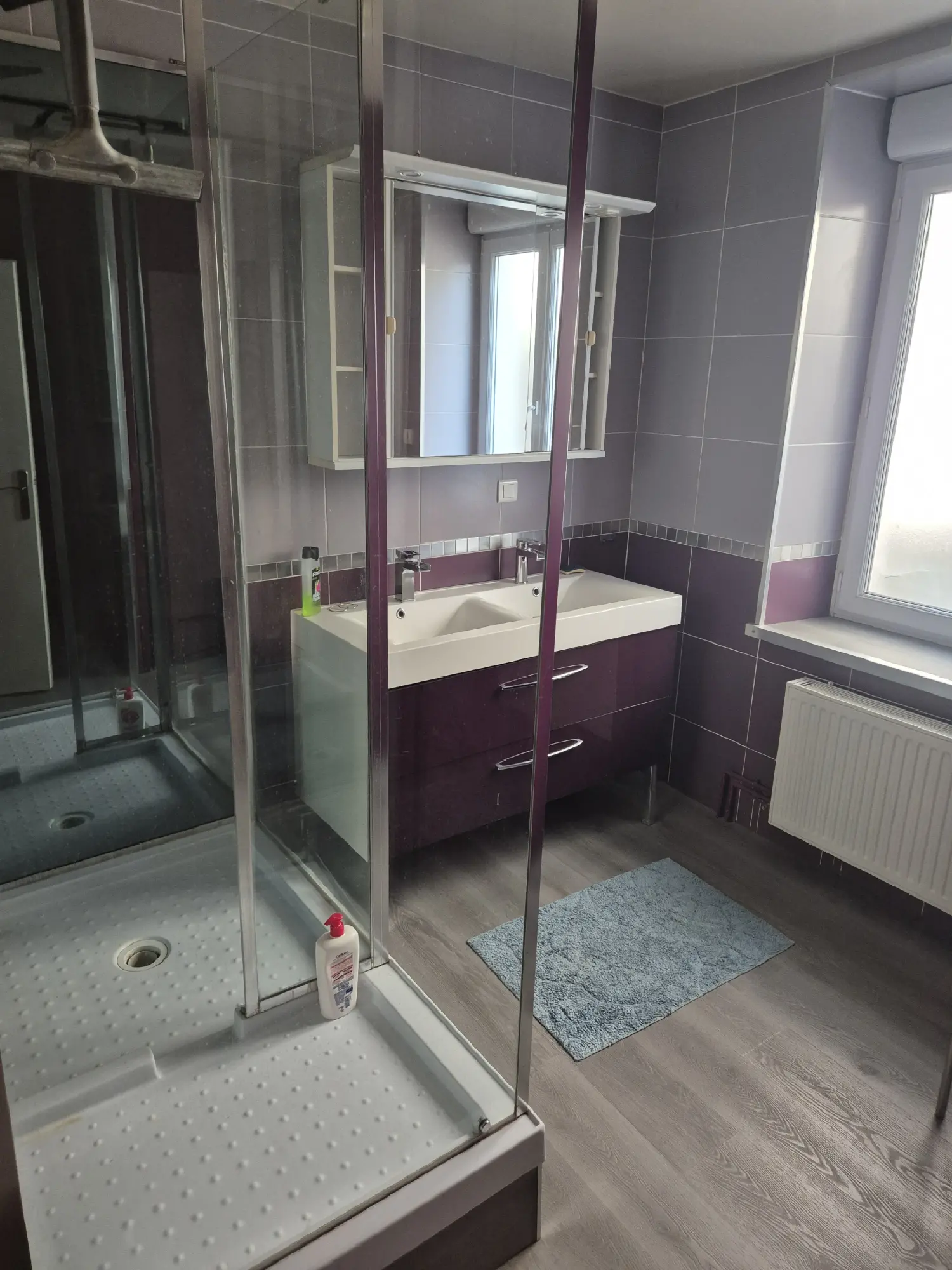  te koop huis Laneuville-au-Pont Haute-Marne 8
