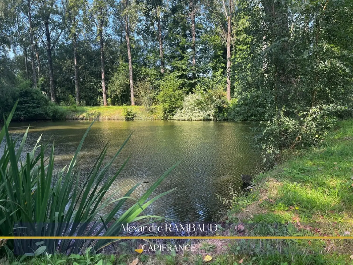  en venta casa Larchamp Mayenne 8