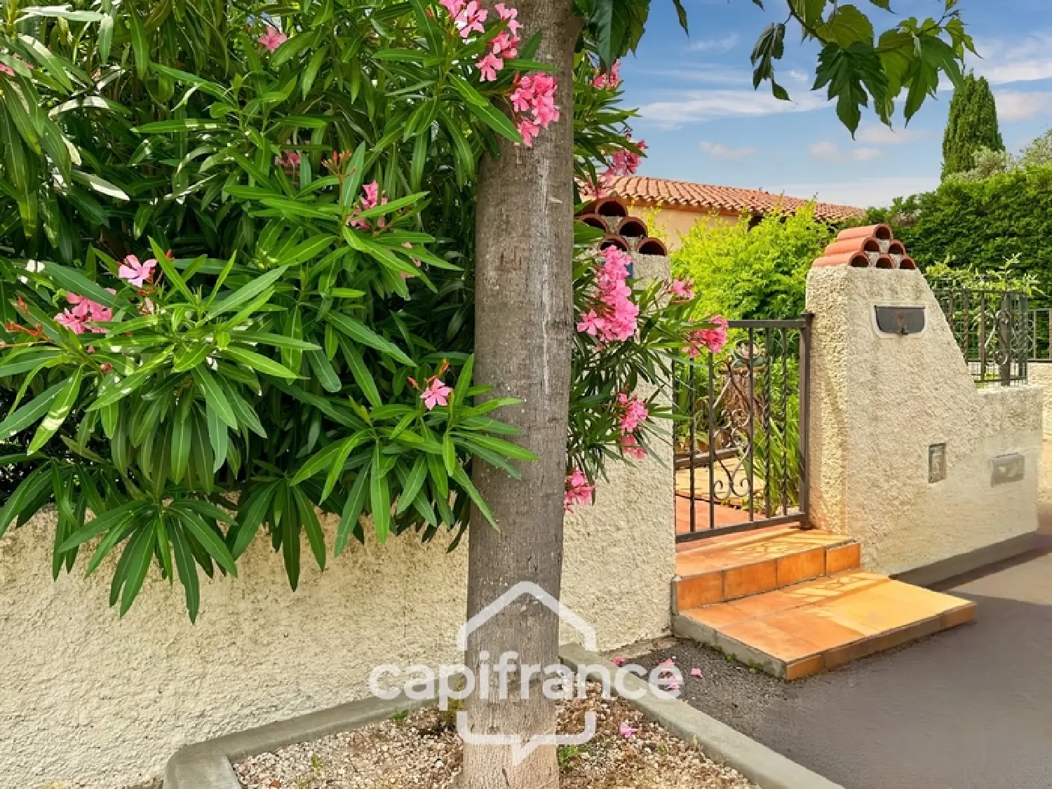  te koop huis Laroque-des-Albères Pyrénées-Orientales 1