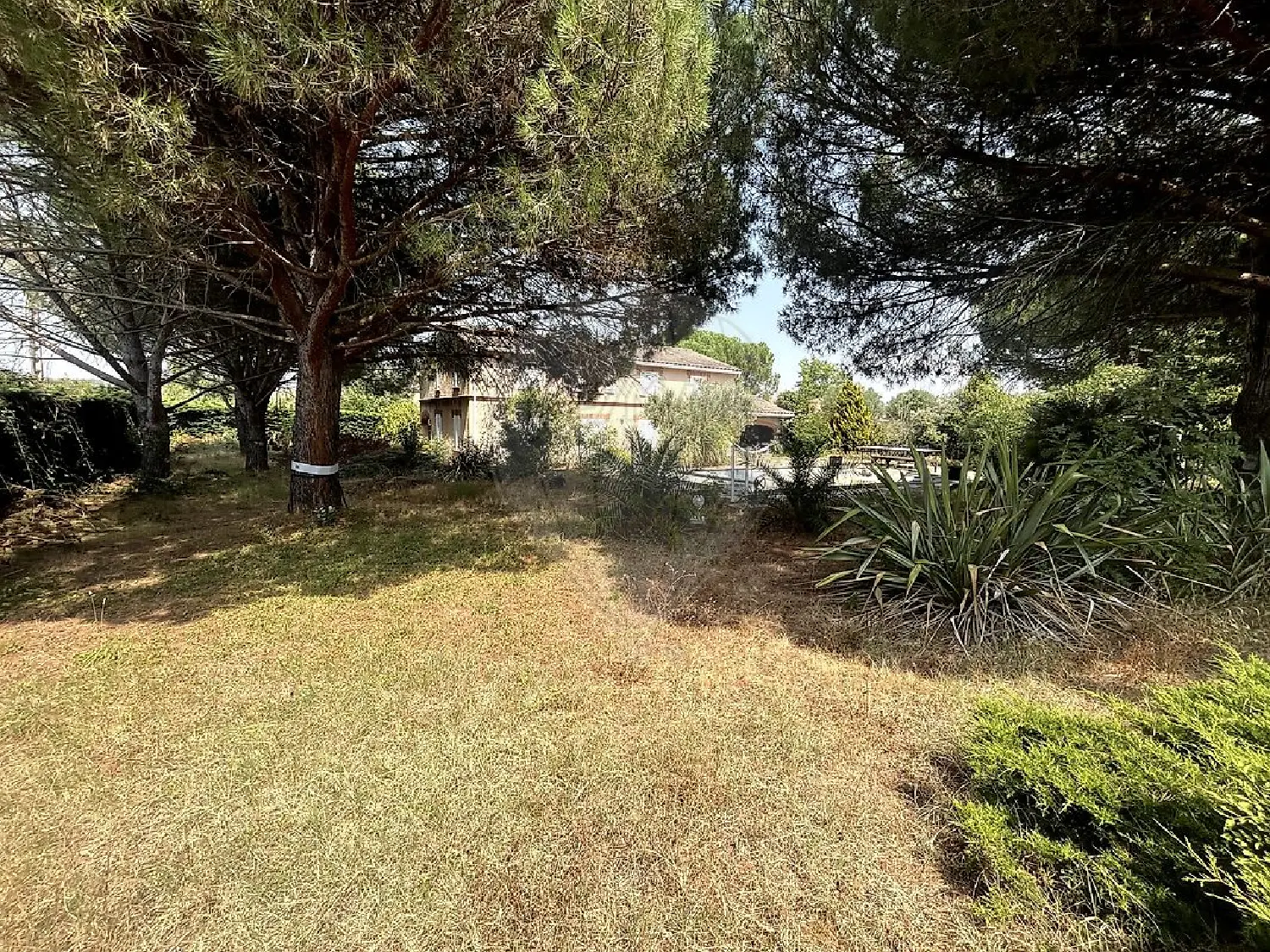  te koop huis Lauzerville Haute-Garonne 4