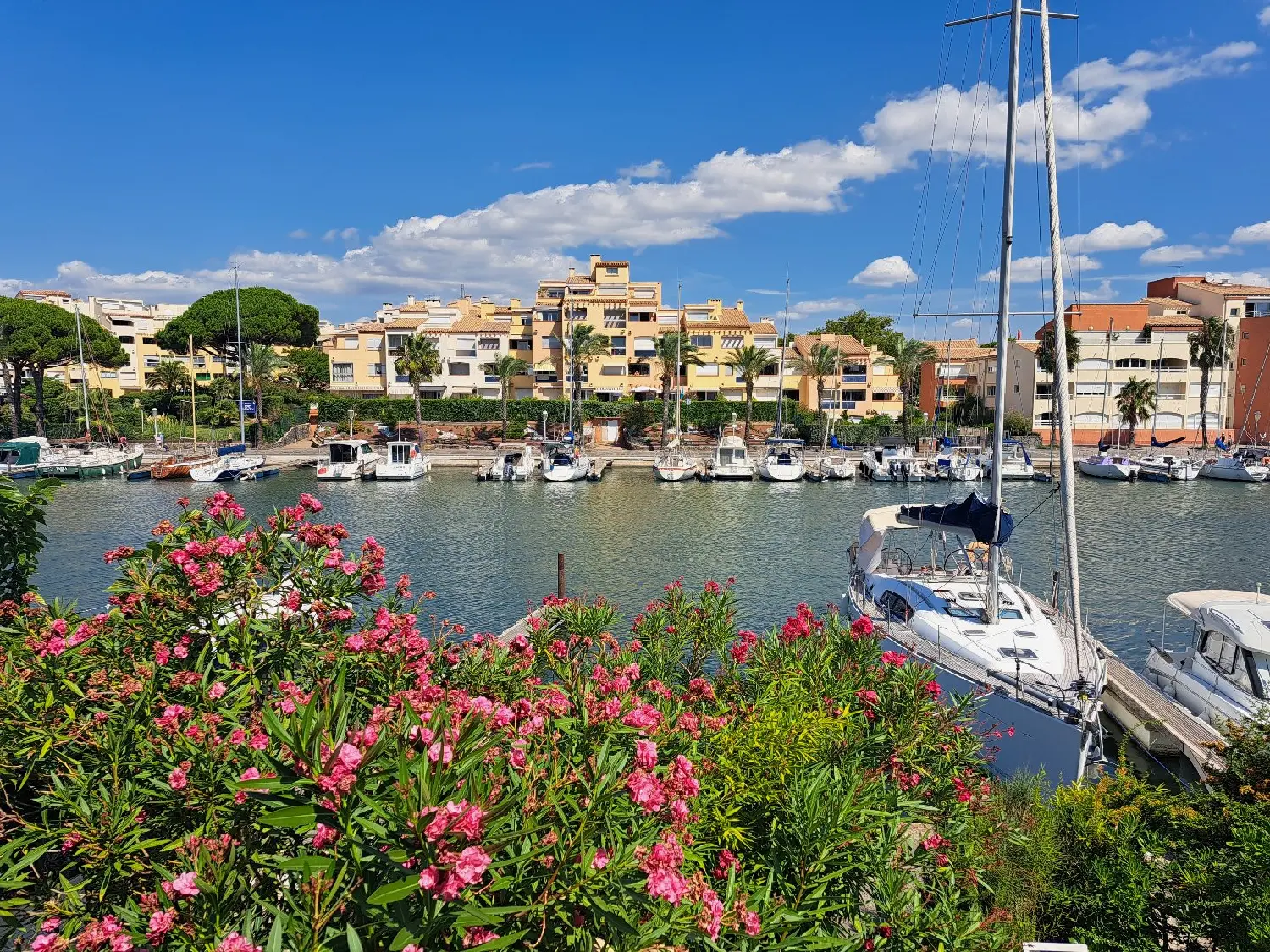  à vendre maison Le Cap d'Agde Hérault 1