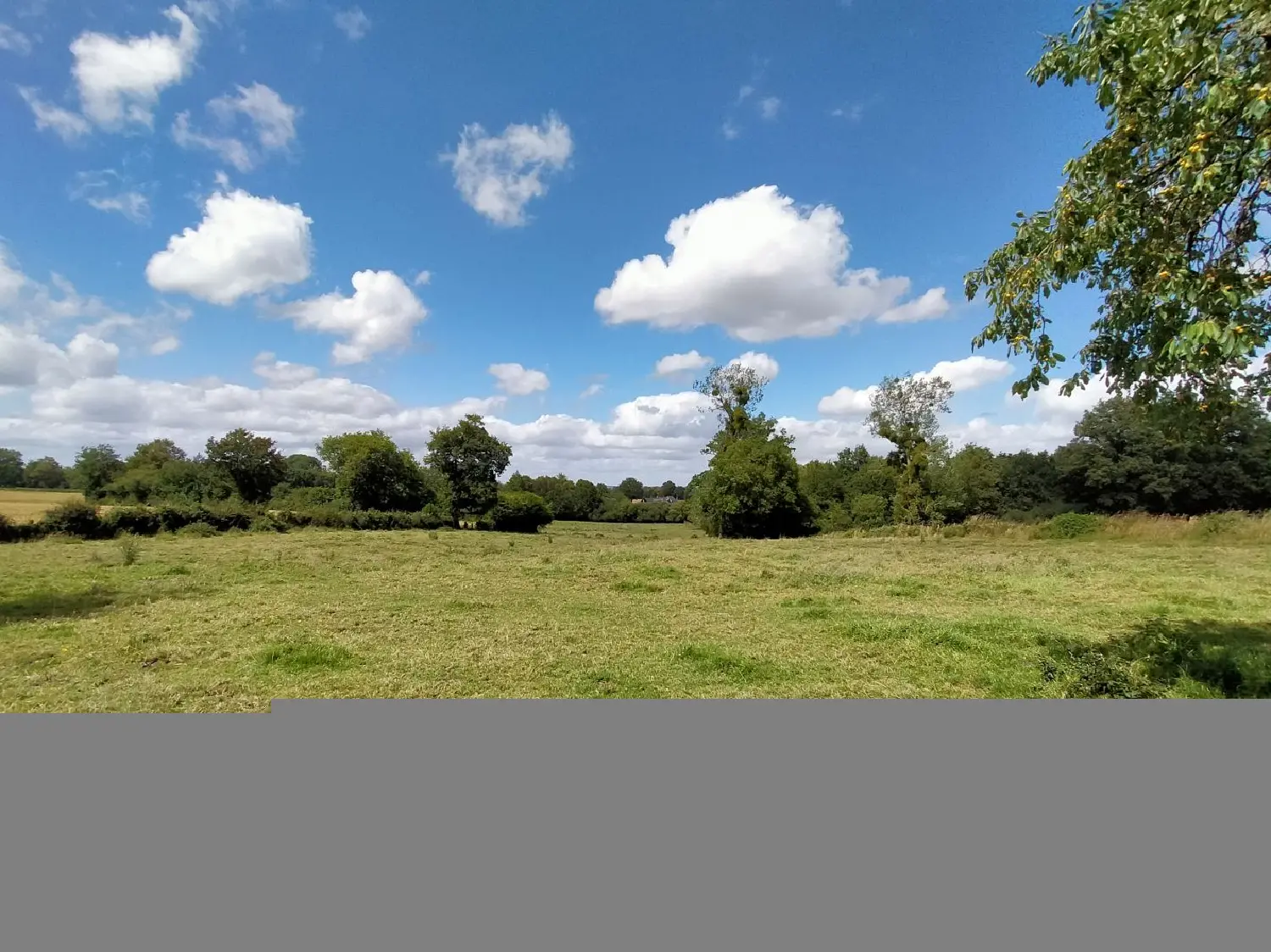  for sale house Les Chapelles Mayenne 5