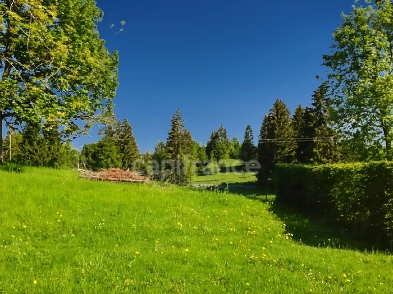  kaufen Haus Les Rousses Jura 8