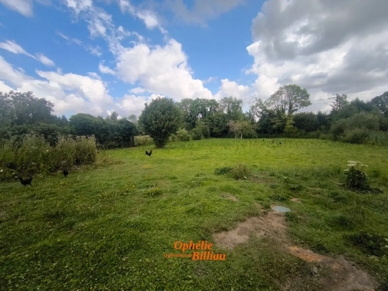  te koop huis Lillers Pas-de-Calais 8