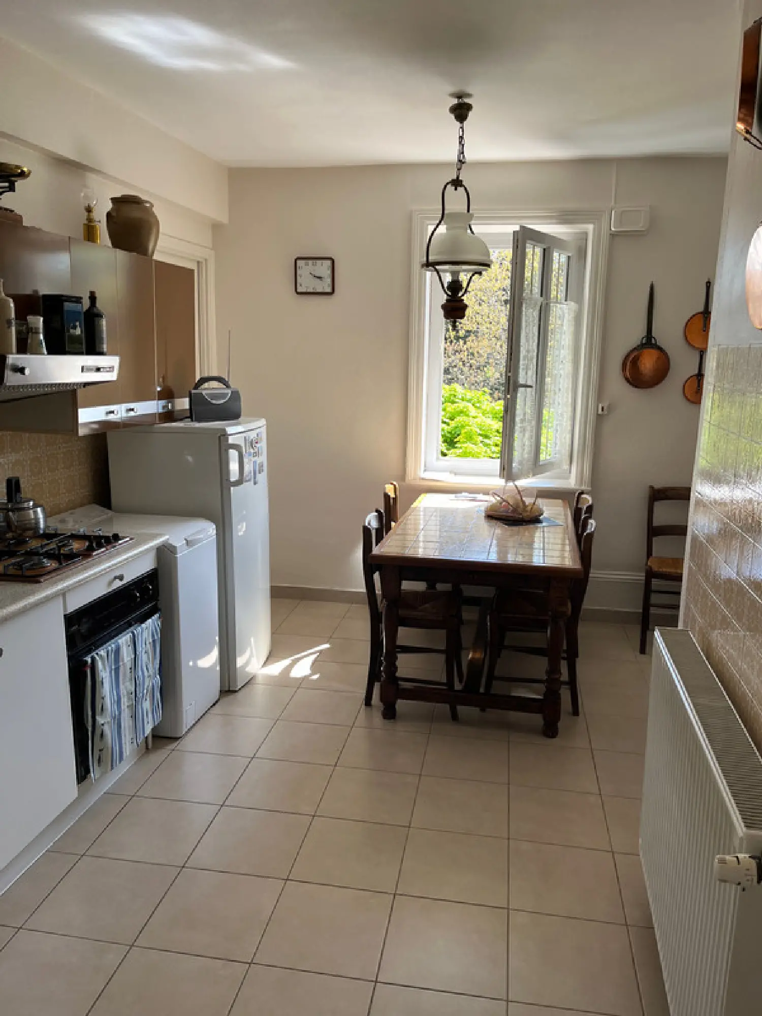  te koop huis Limas Rhône 3