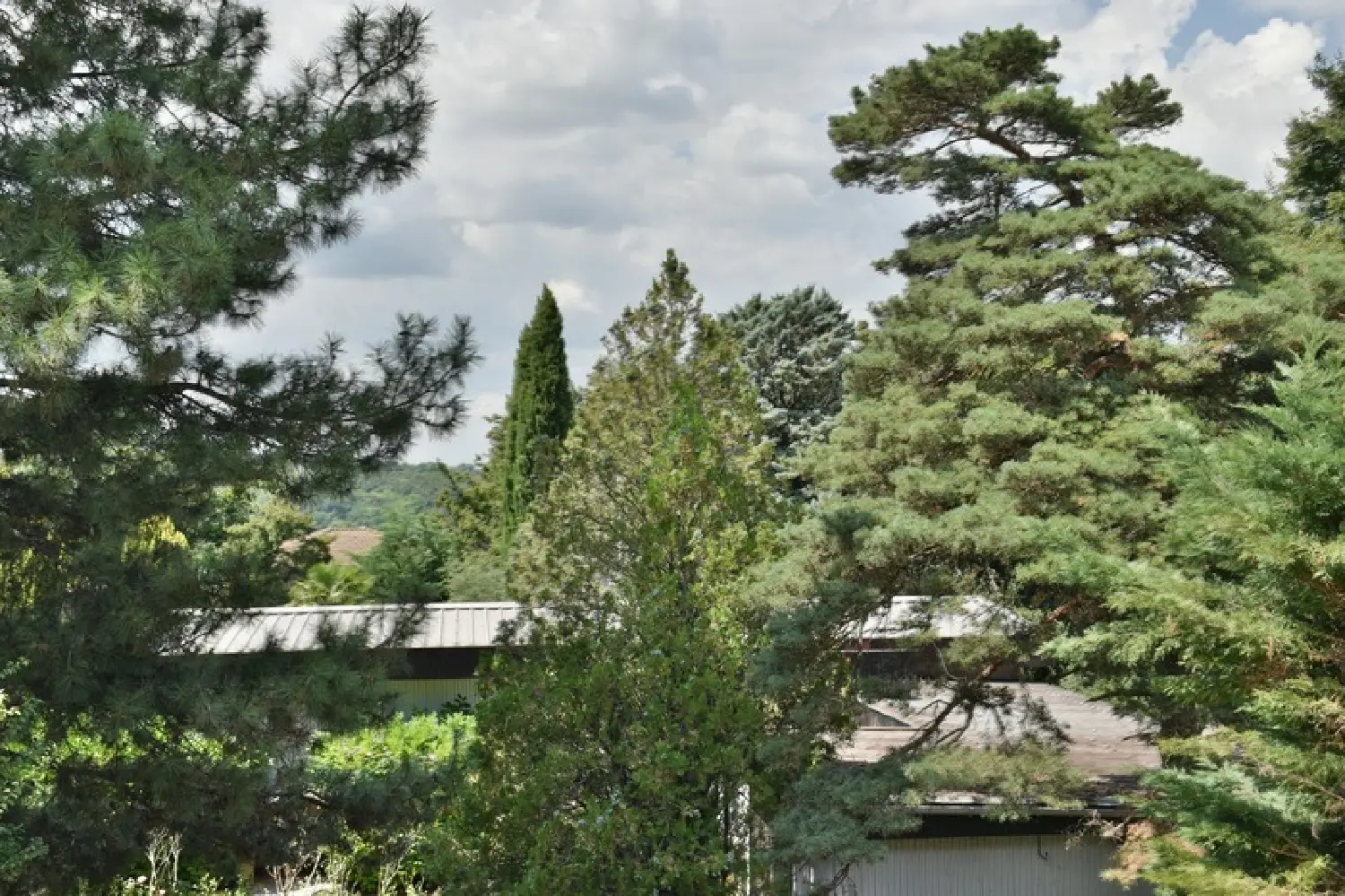  en venta casa Lissieu Rhône 3
