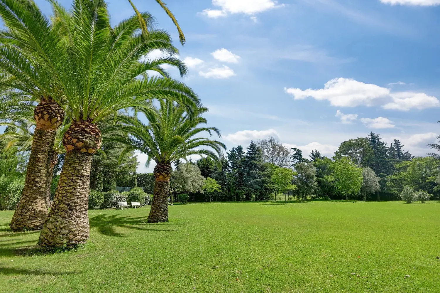  kaufen Haus Mandelieu-la-Napoule Alpes-Maritimes 6