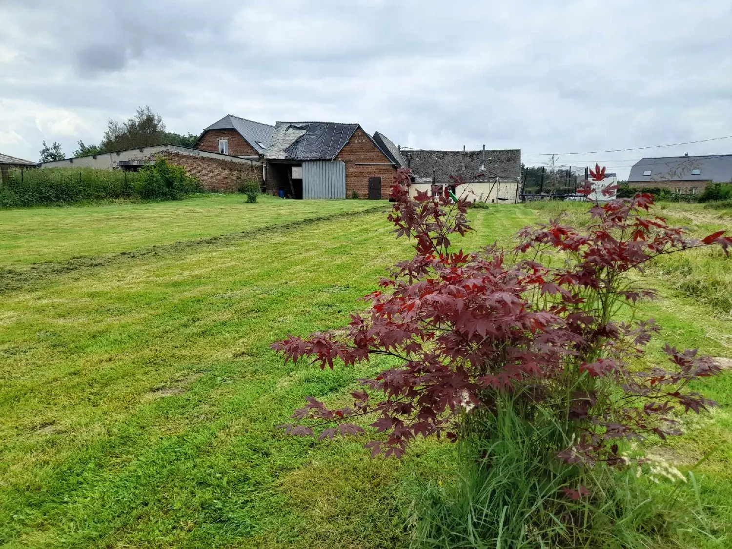  te koop huis Marly-Gomont Aisne 5