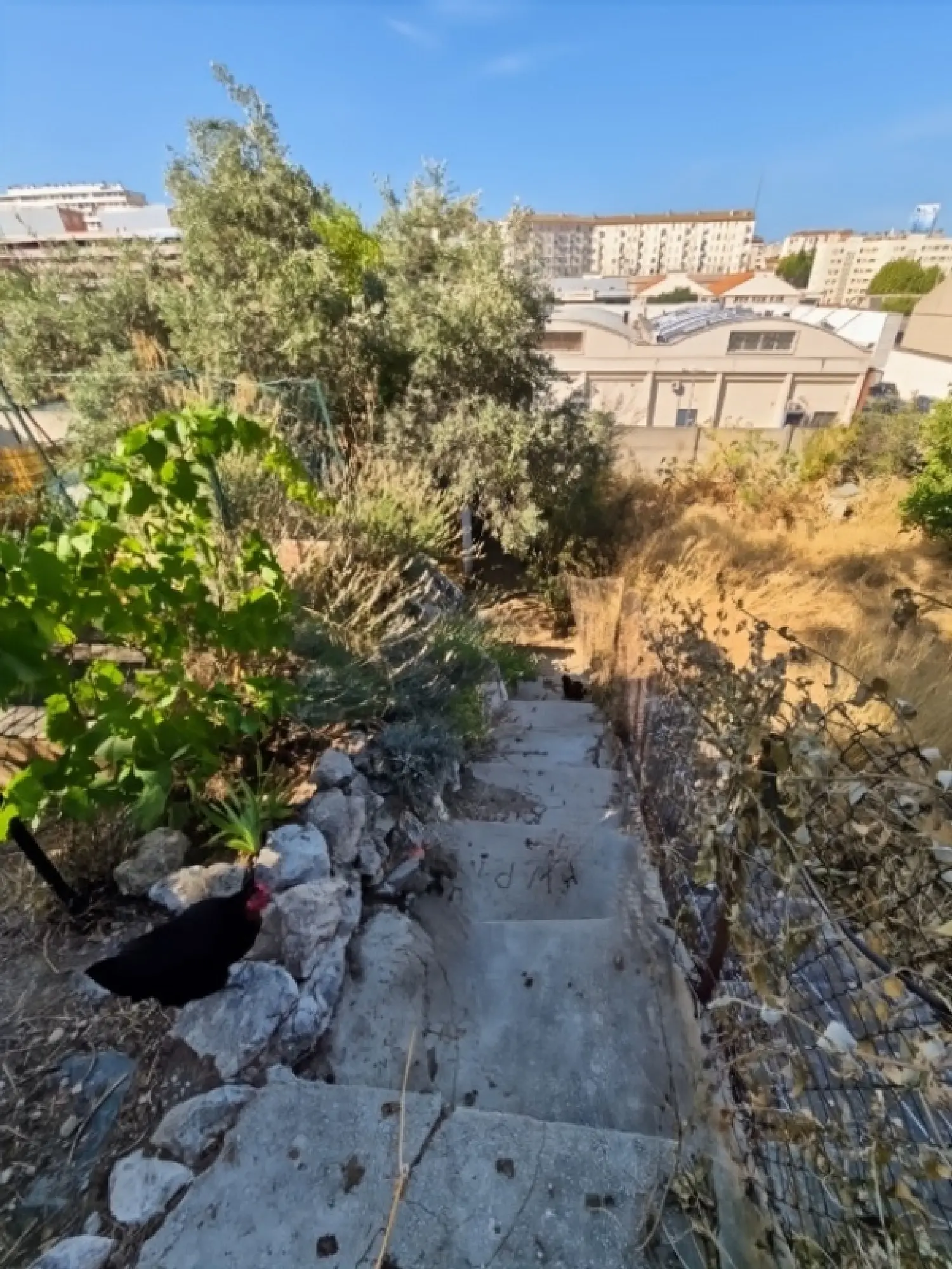  à vendre maison Marseille 14e Arrondissement Bouches-du-Rhône 5