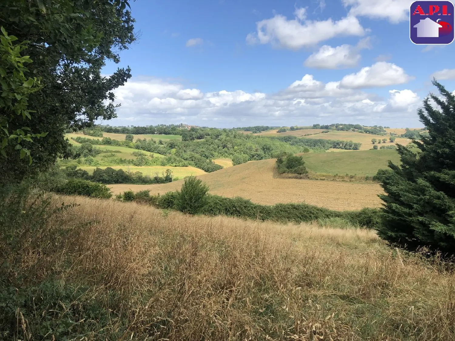  à vendre maison Martres-Tolosane Haute-Garonne 7
