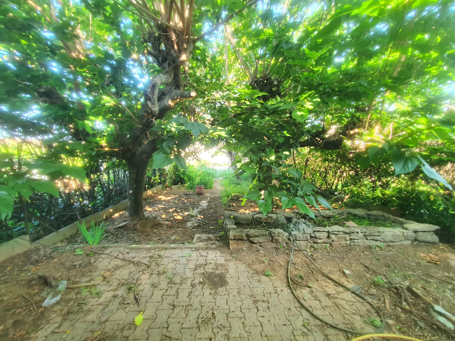  te koop huis Mauguio Hérault 7