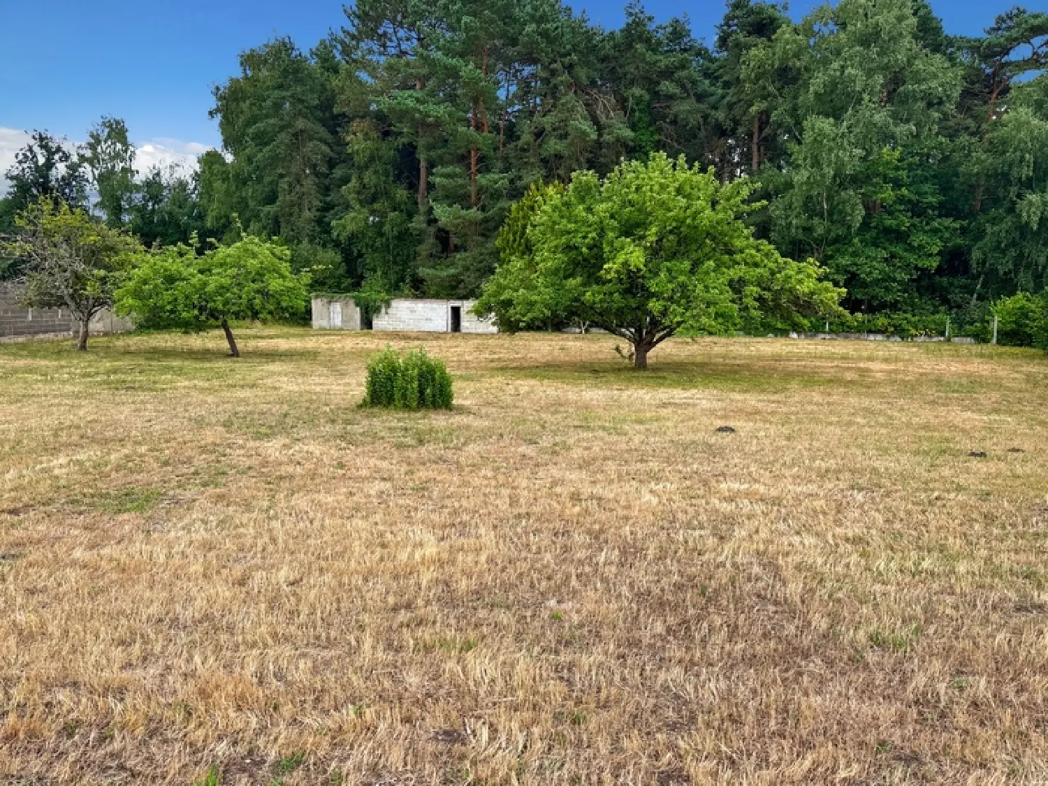  à vendre maison Moncé-en-Belin Sarthe 6