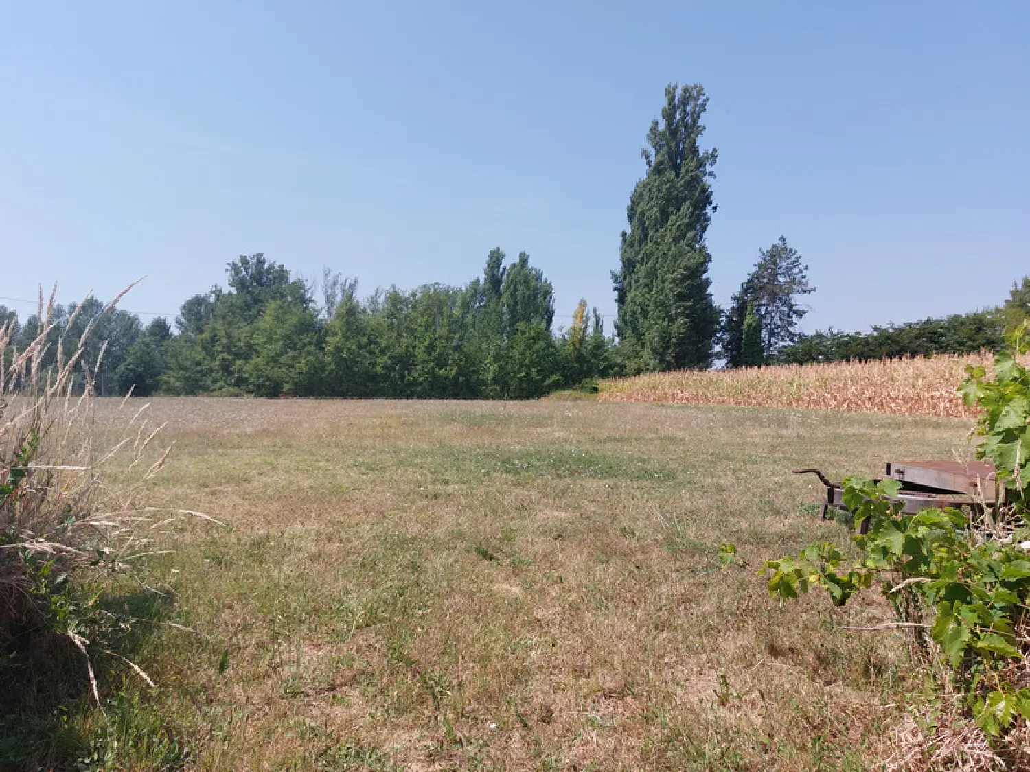  te koop huis Montauban Tarn-et-Garonne 5