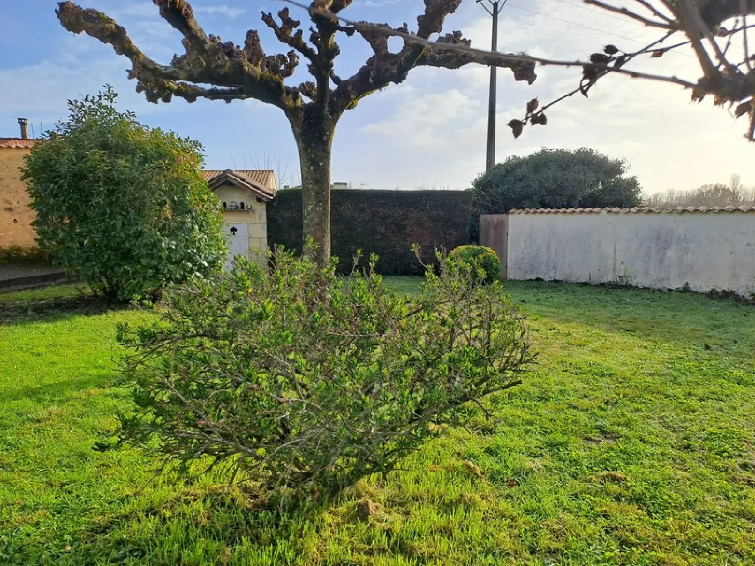  for sale house Mouillac Gironde 3