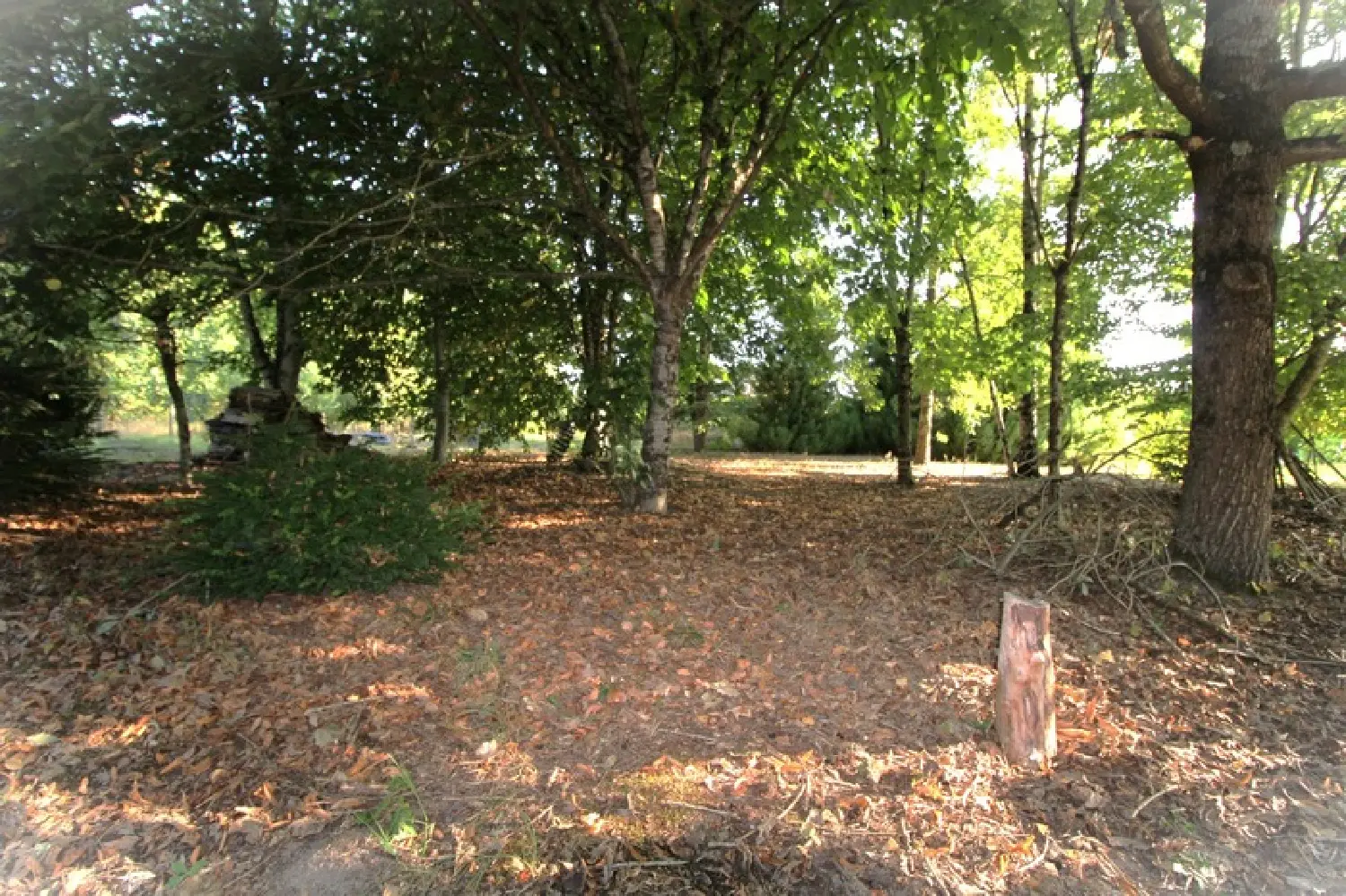  en venta casa Mouliherne Maine-et-Loire 3