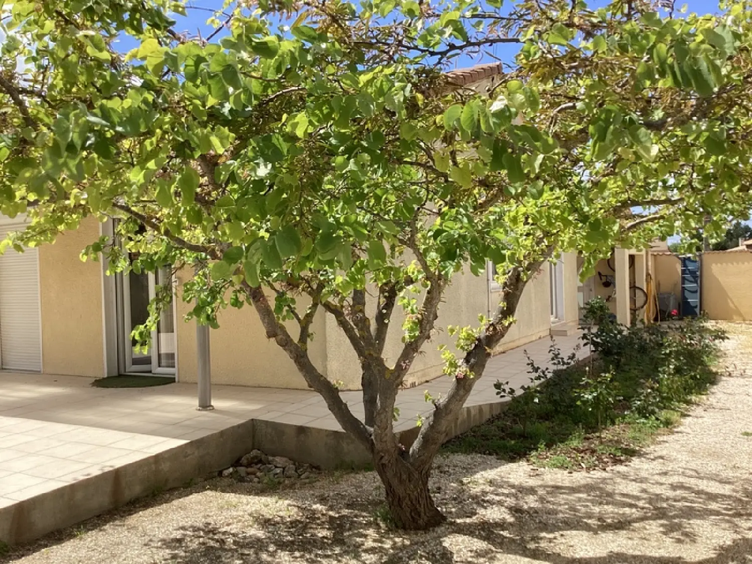 te koop huis Narbonne Aude 5