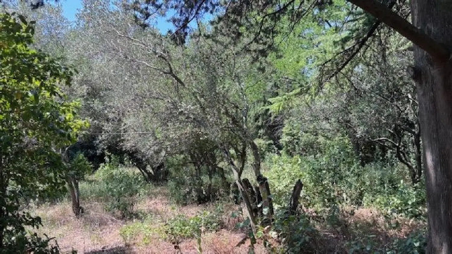  for sale house Nîmes Gard 1