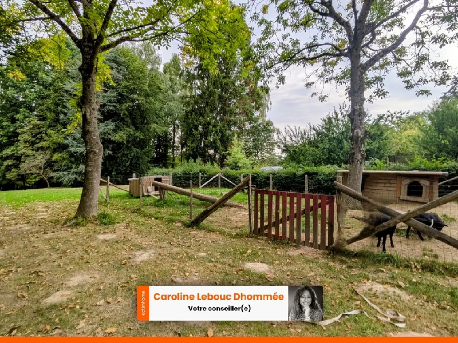  te koop huis Nocé Orne 2