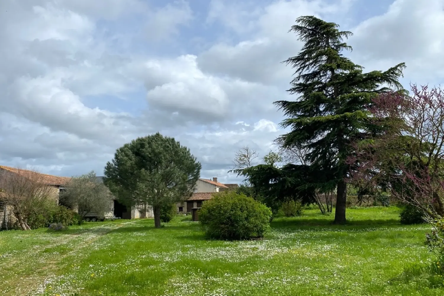  en venta casa Noizé Deux-Sèvres 4