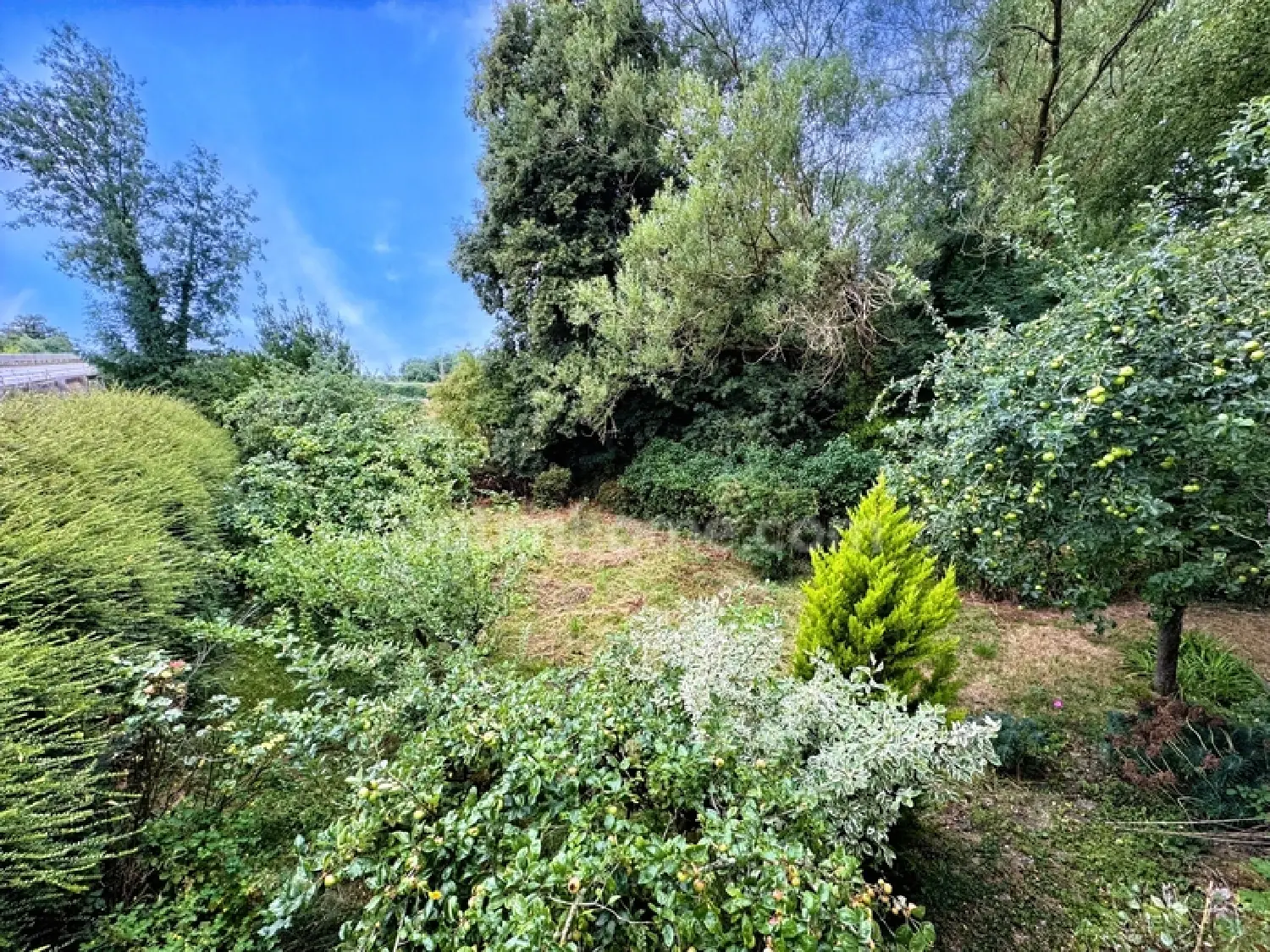  en venta casa Nonant-le-Pin Orne 4