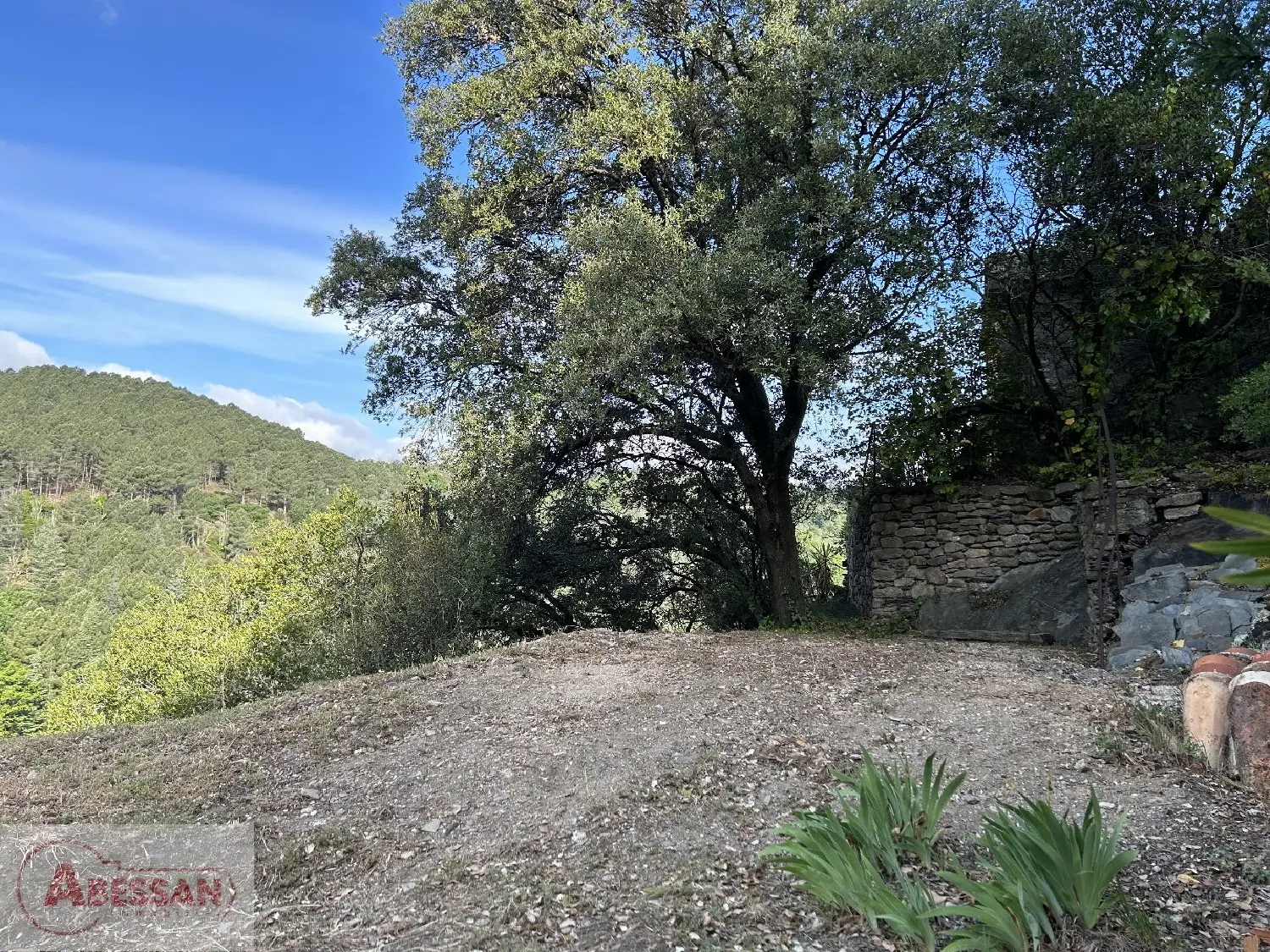  en venta casa Olargues Hérault 5