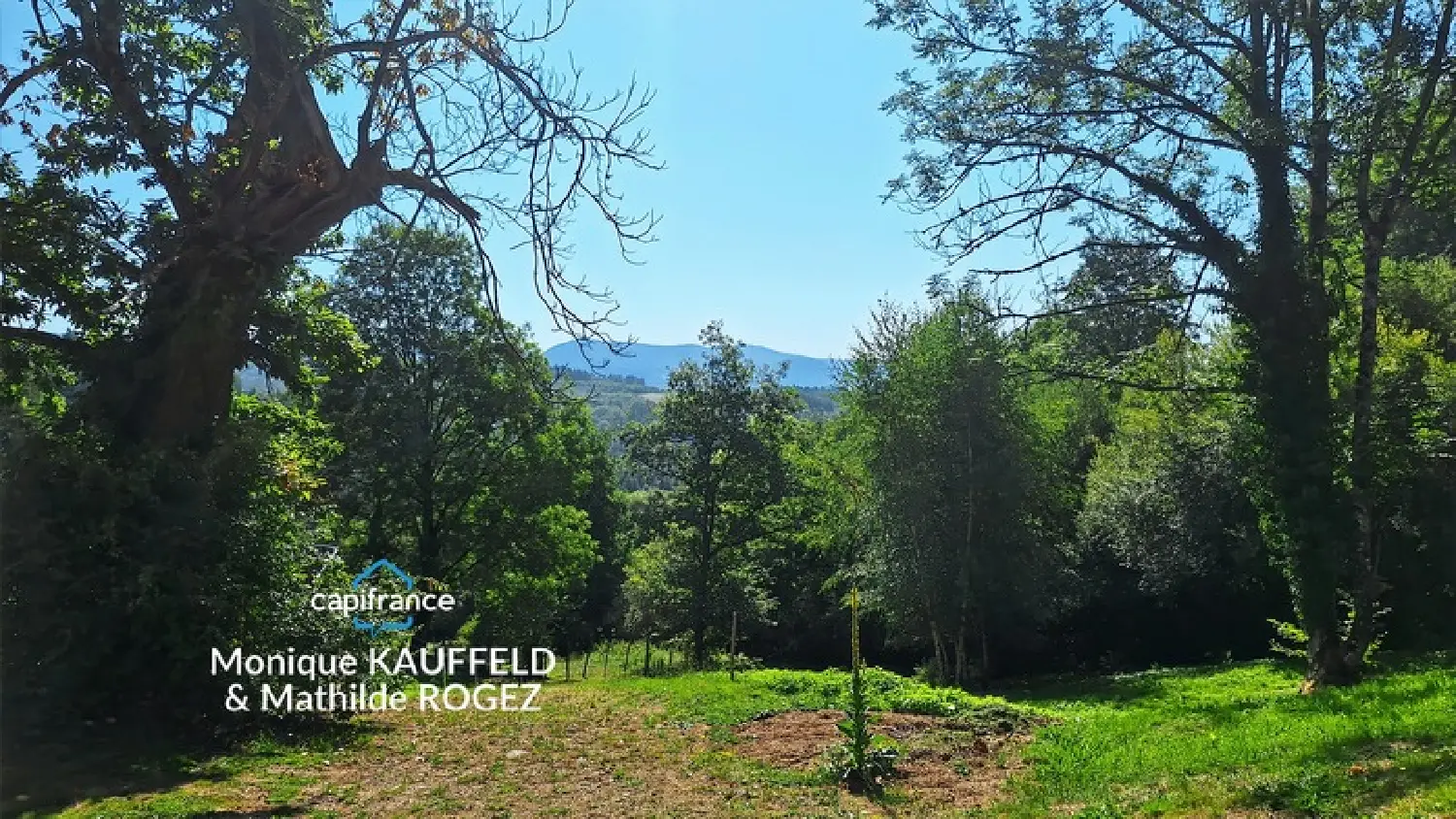  te koop huis Olliergues Puy-de-Dôme 2
