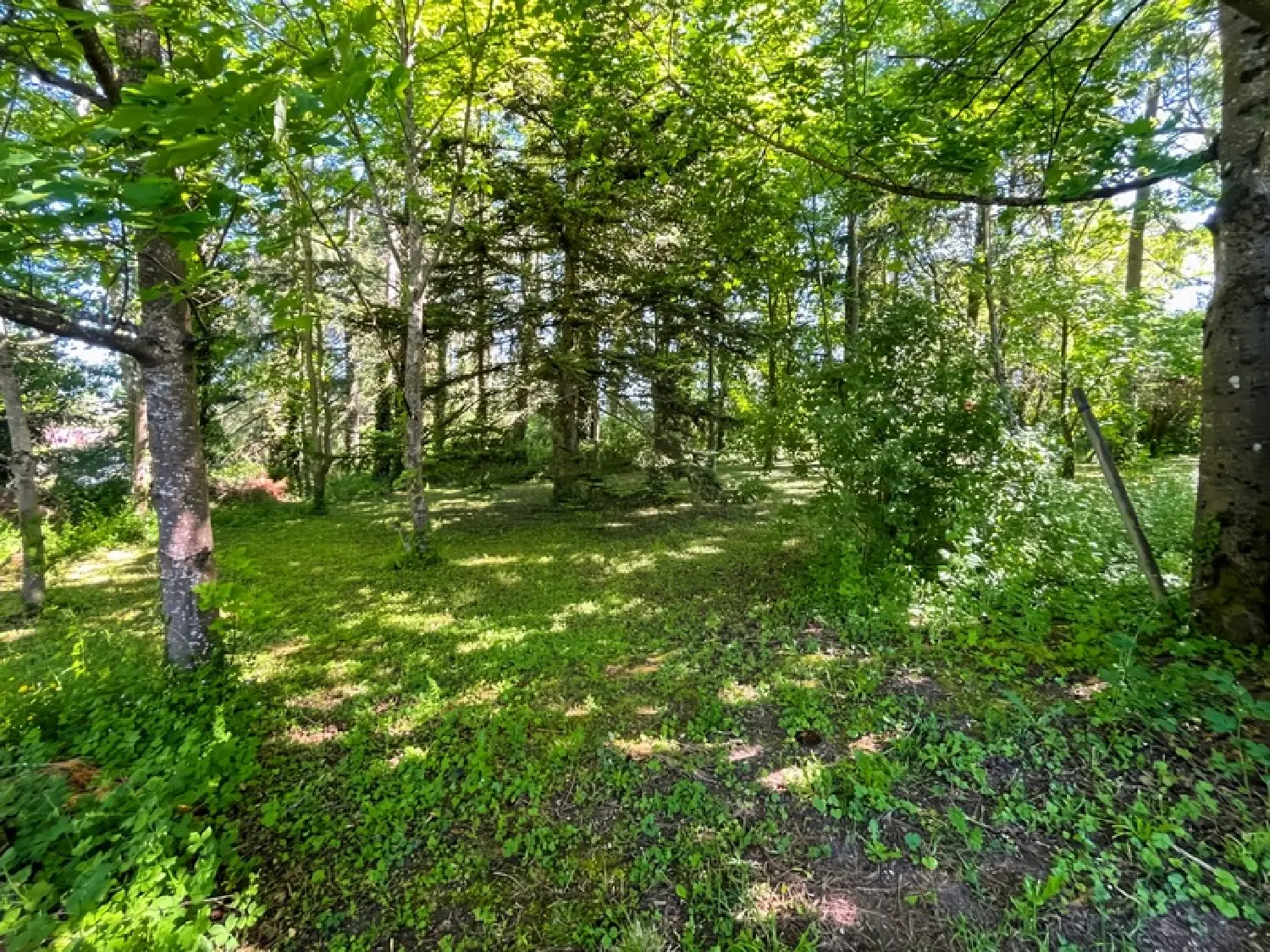  for sale house Palinges Saône-et-Loire 5