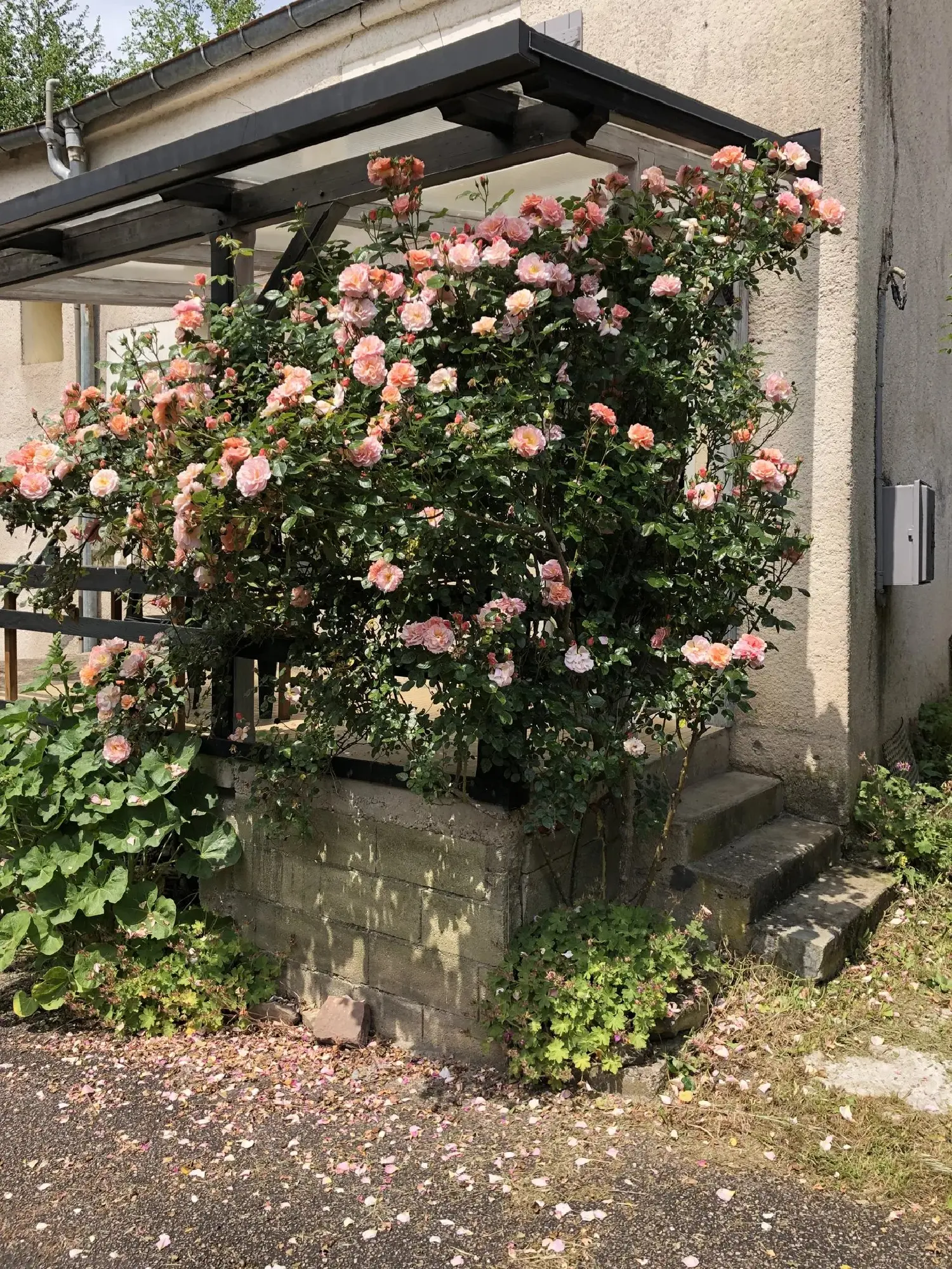  en venta casa Passavant-la-Rochère Haute-Saône 6