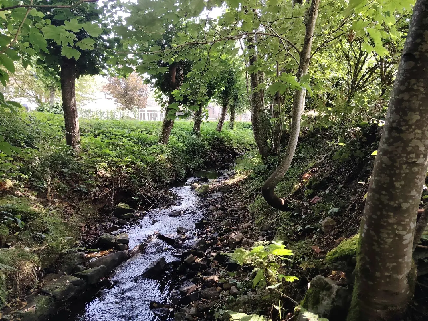  en venta casa Passavant-la-Rochère Haute-Saône 8