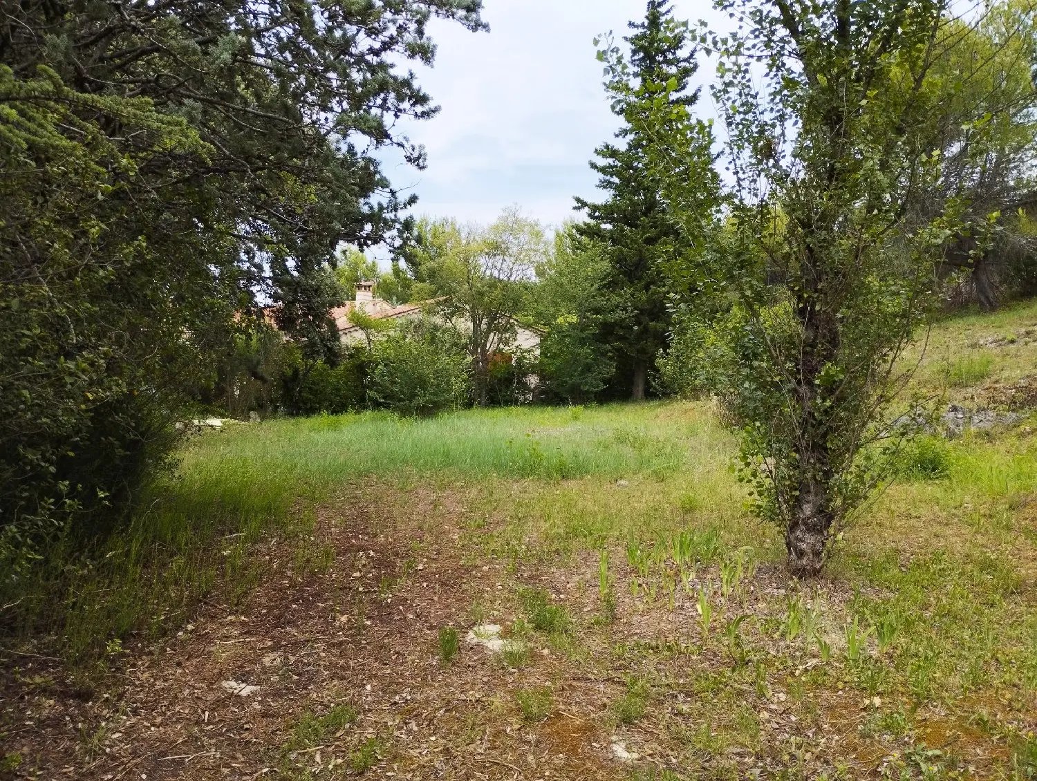  for sale house Pernes-les-Fontaines Vaucluse 3