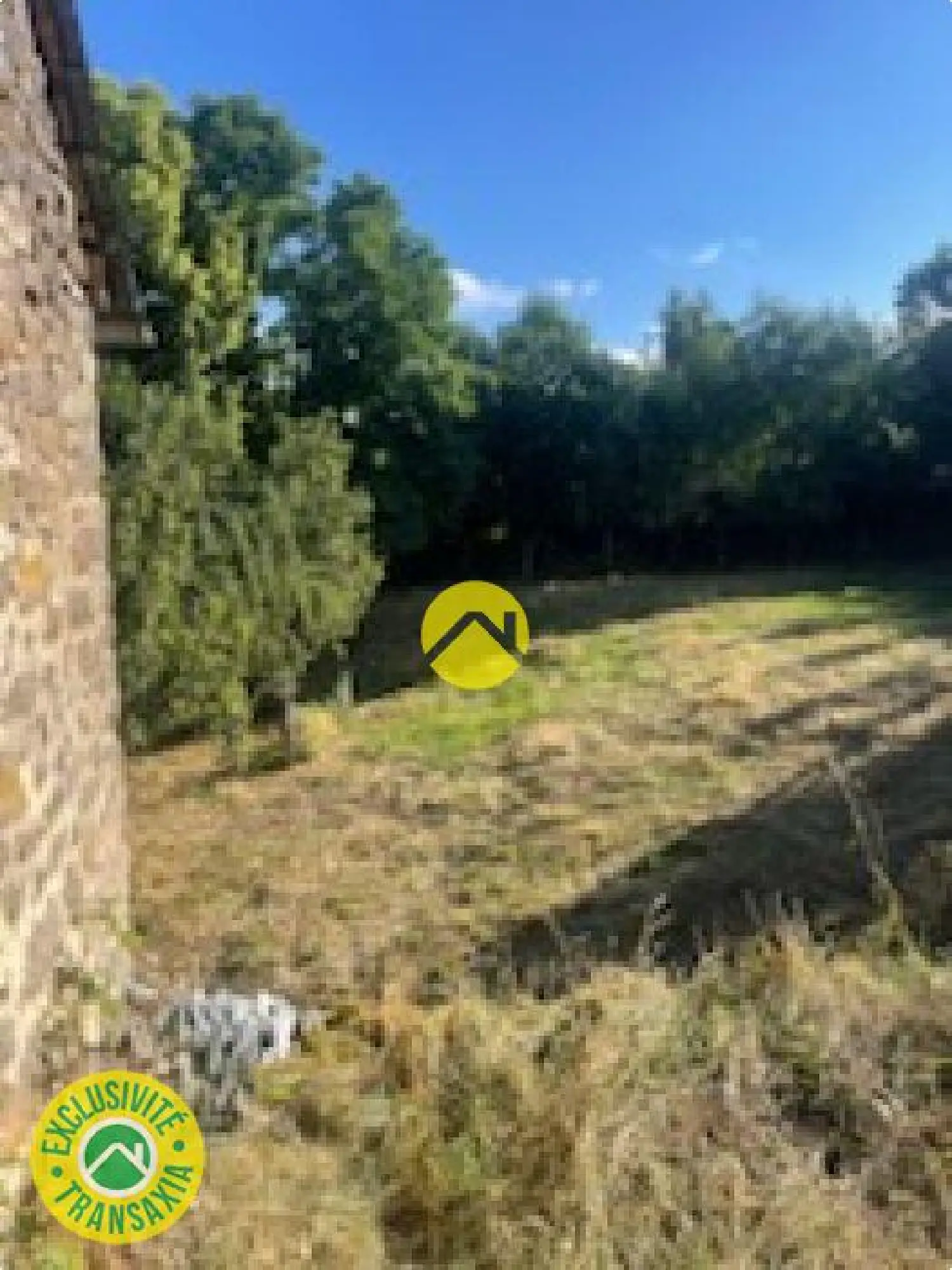  à vendre maison Pierrefort Cantal 4