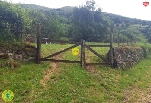  kaufen Haus Pierrefort Cantal 5