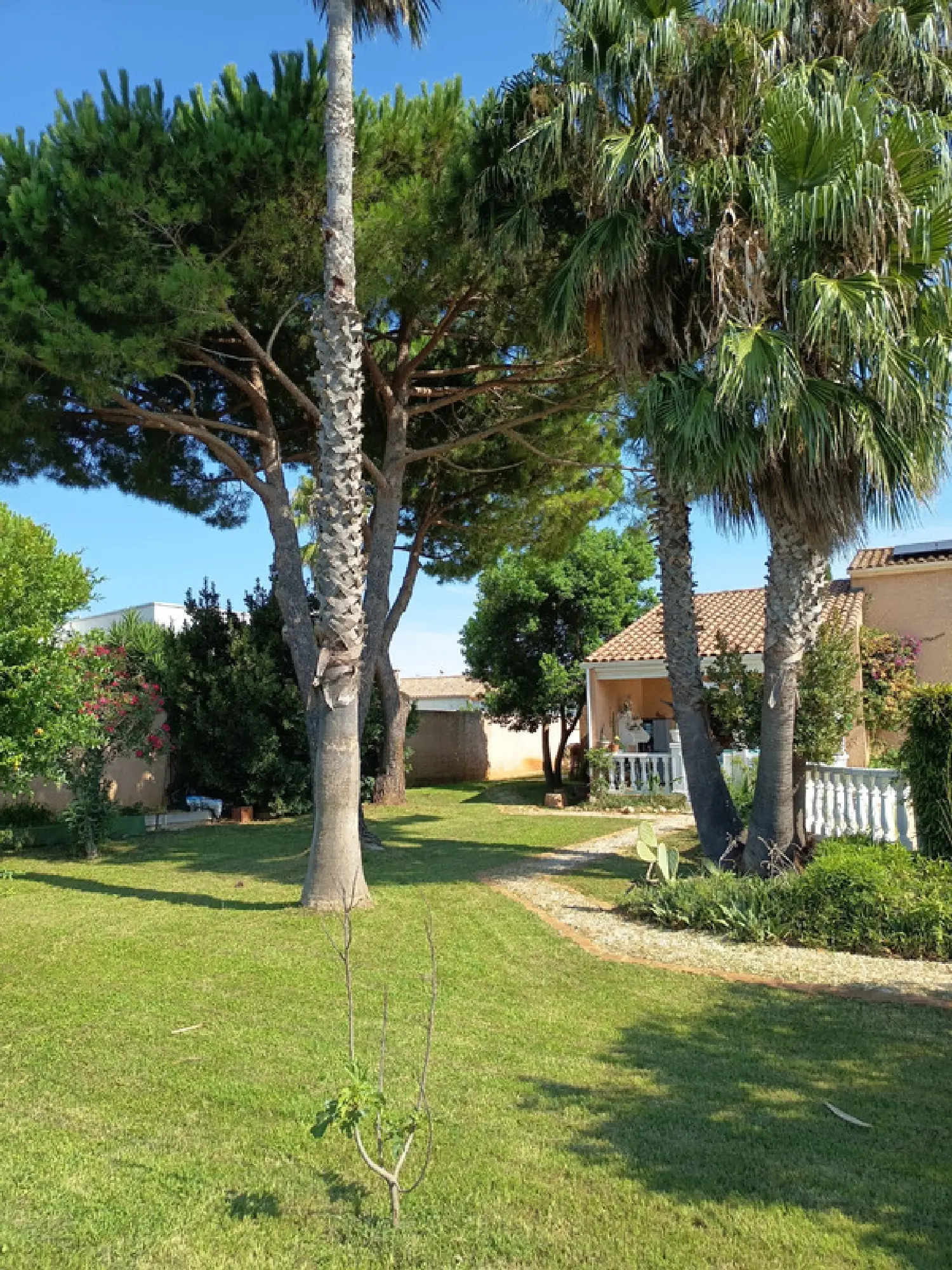  à vendre maison Portiragnes Hérault 4