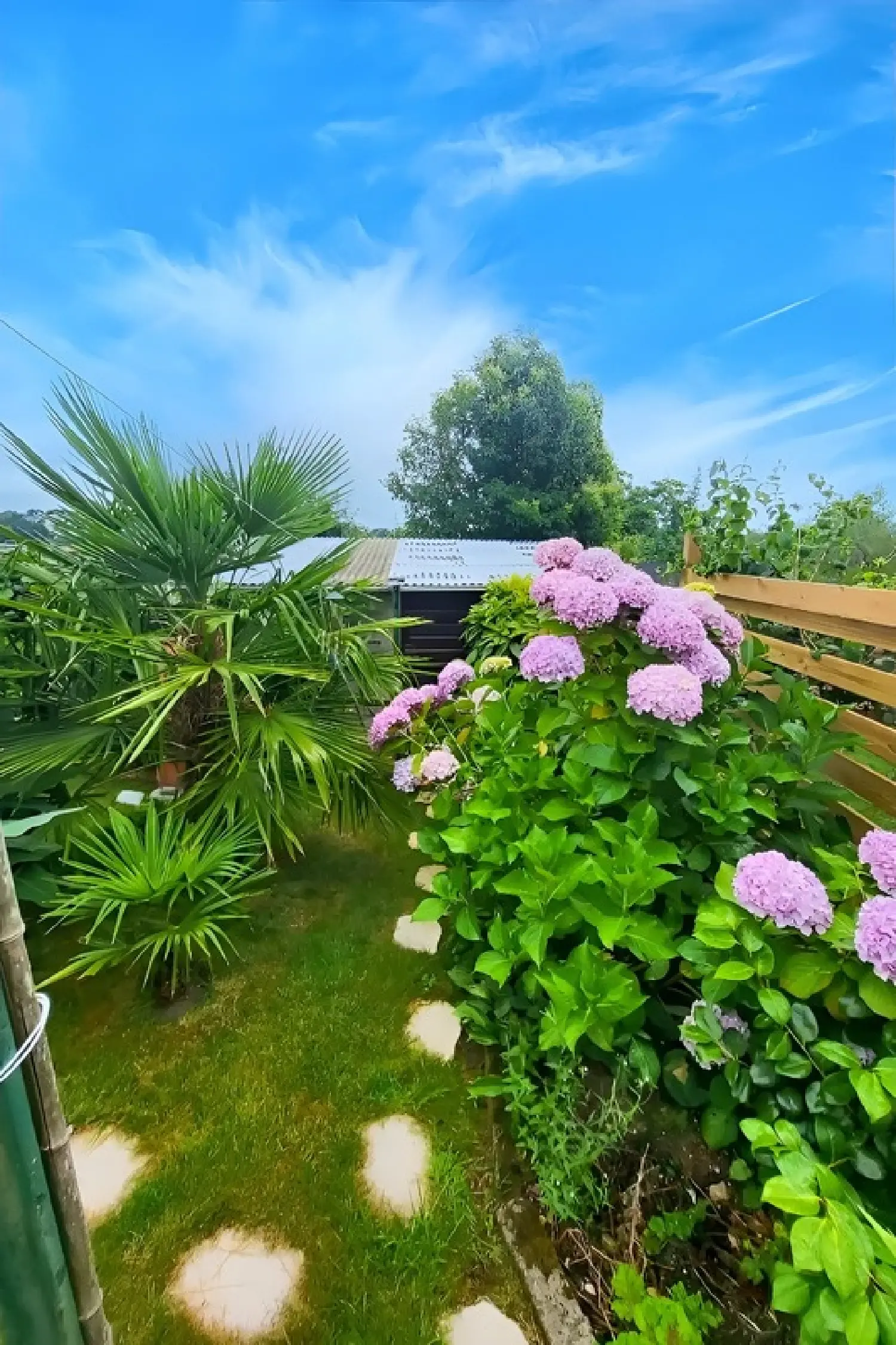  for sale house Quimper Finistère 7