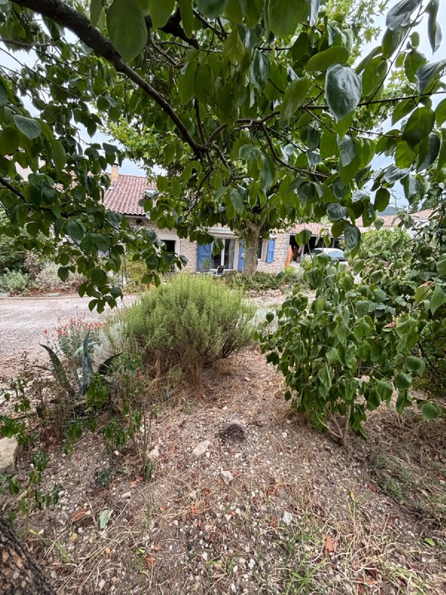  kaufen Haus Quissac Gard 2