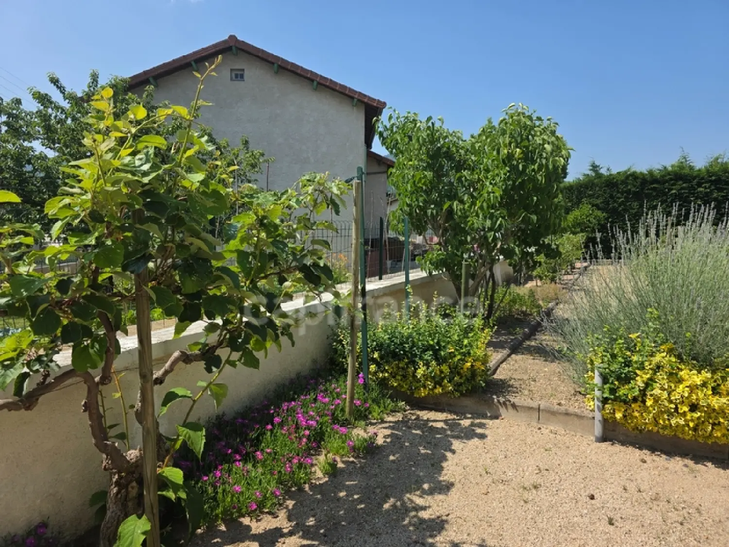  à vendre maison Retournac Haute-Loire 3