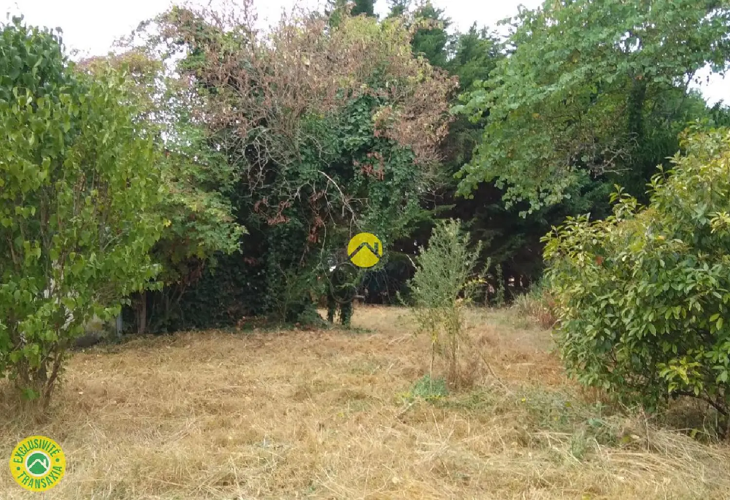  for sale house Reuilly Indre 8