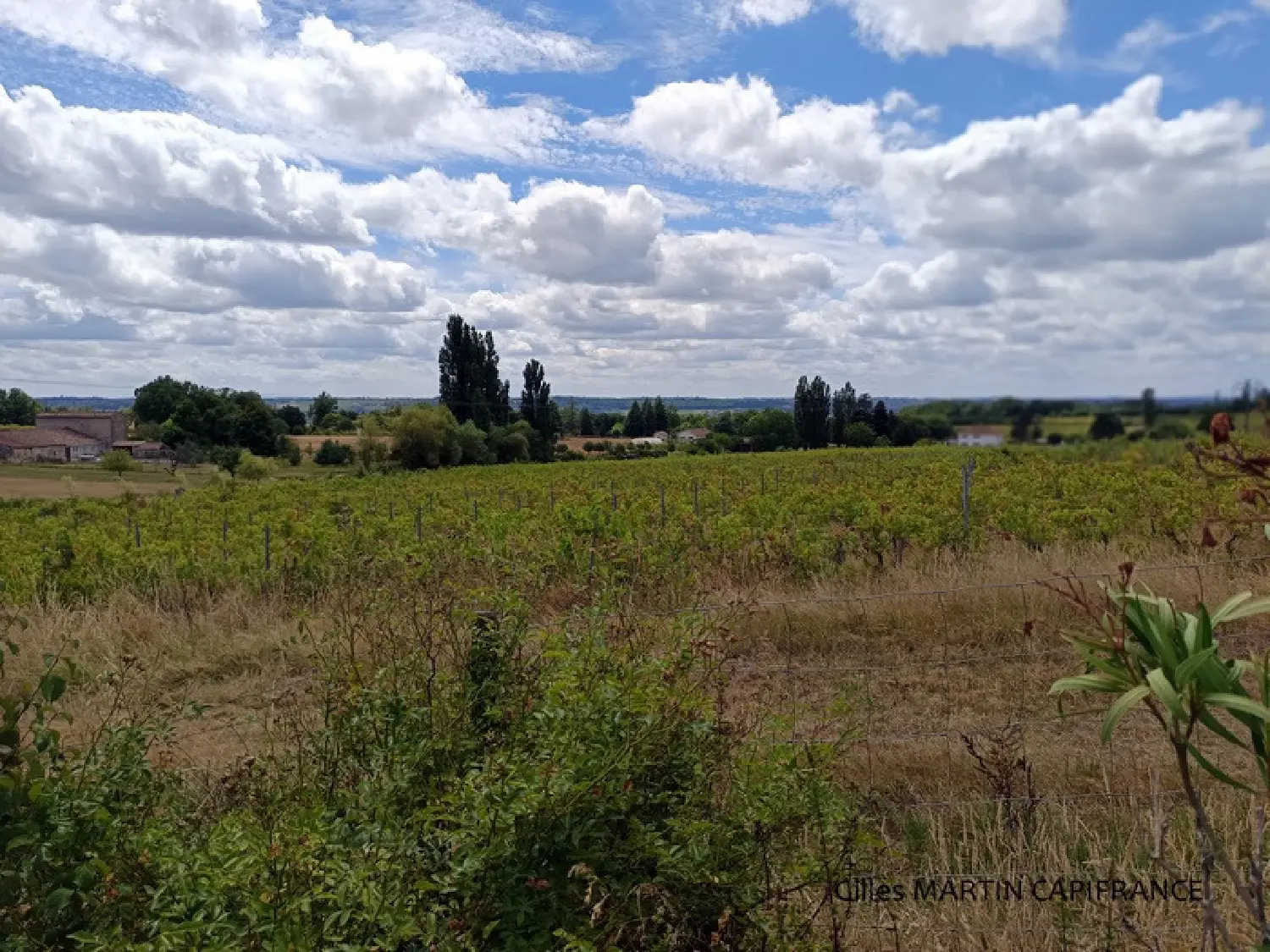  for sale house Riocaud Gironde 4