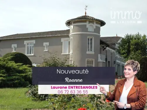 Roanne Loire casa foto 7123220