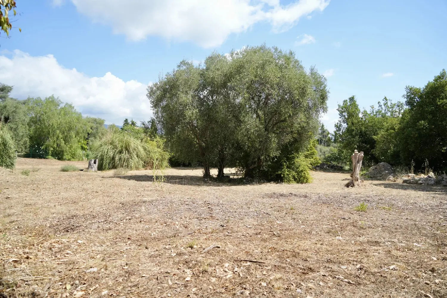  te koop huis Roquefort-les-pins Alpes-Maritimes 7