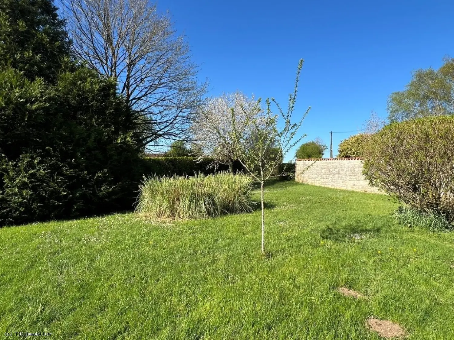  à vendre maison Ruffec Charente 3