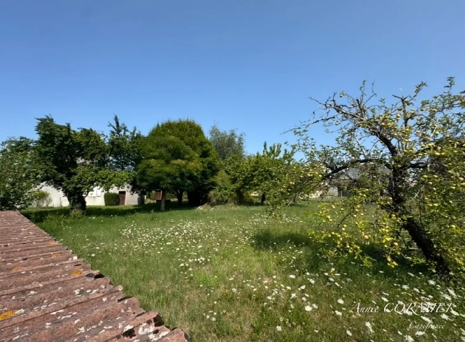  kaufen Haus Saint-Aignan-le-Jaillard Loiret 2