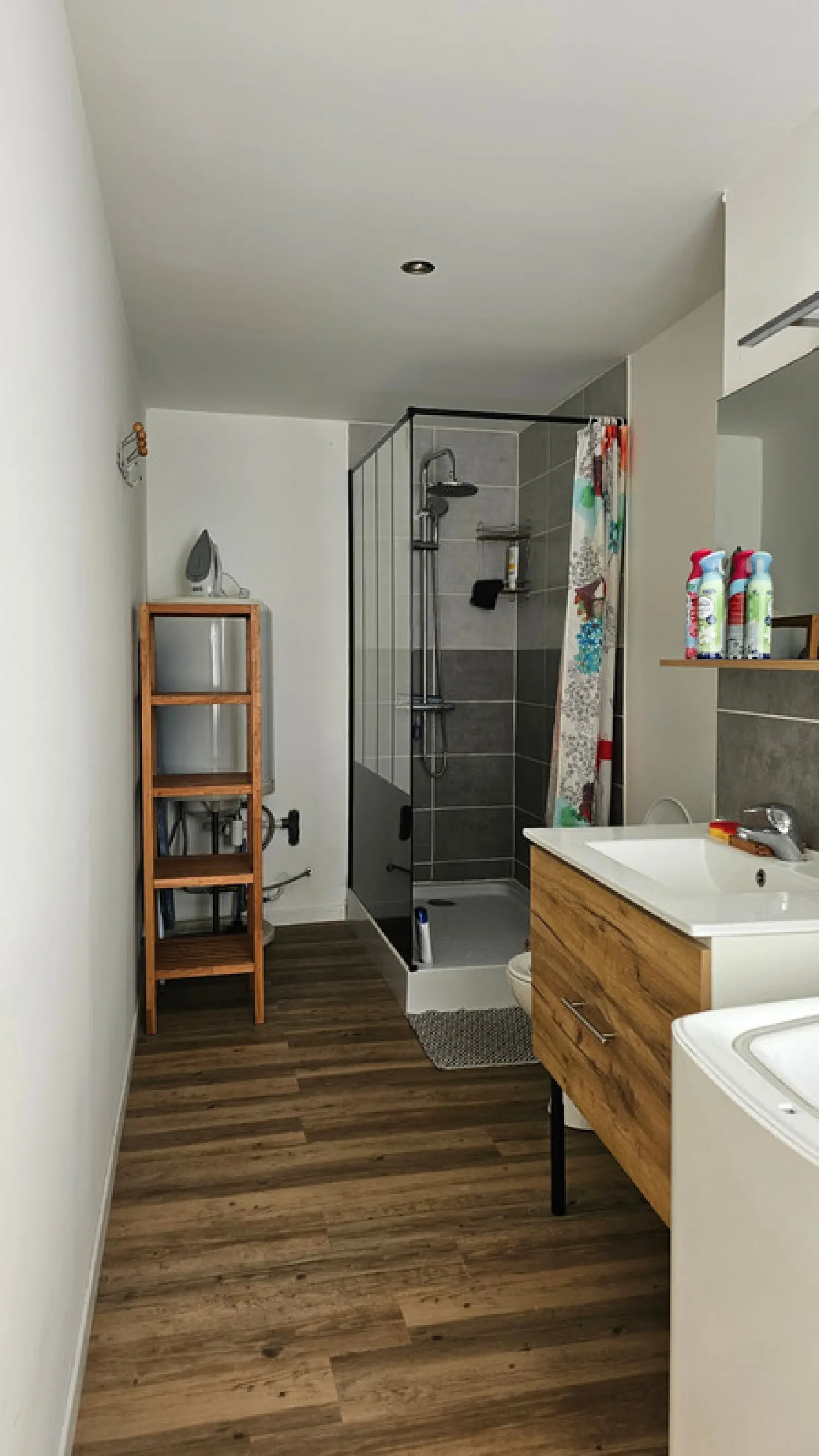  te koop huis Saint-Amand-en-Puisaye Nièvre 5