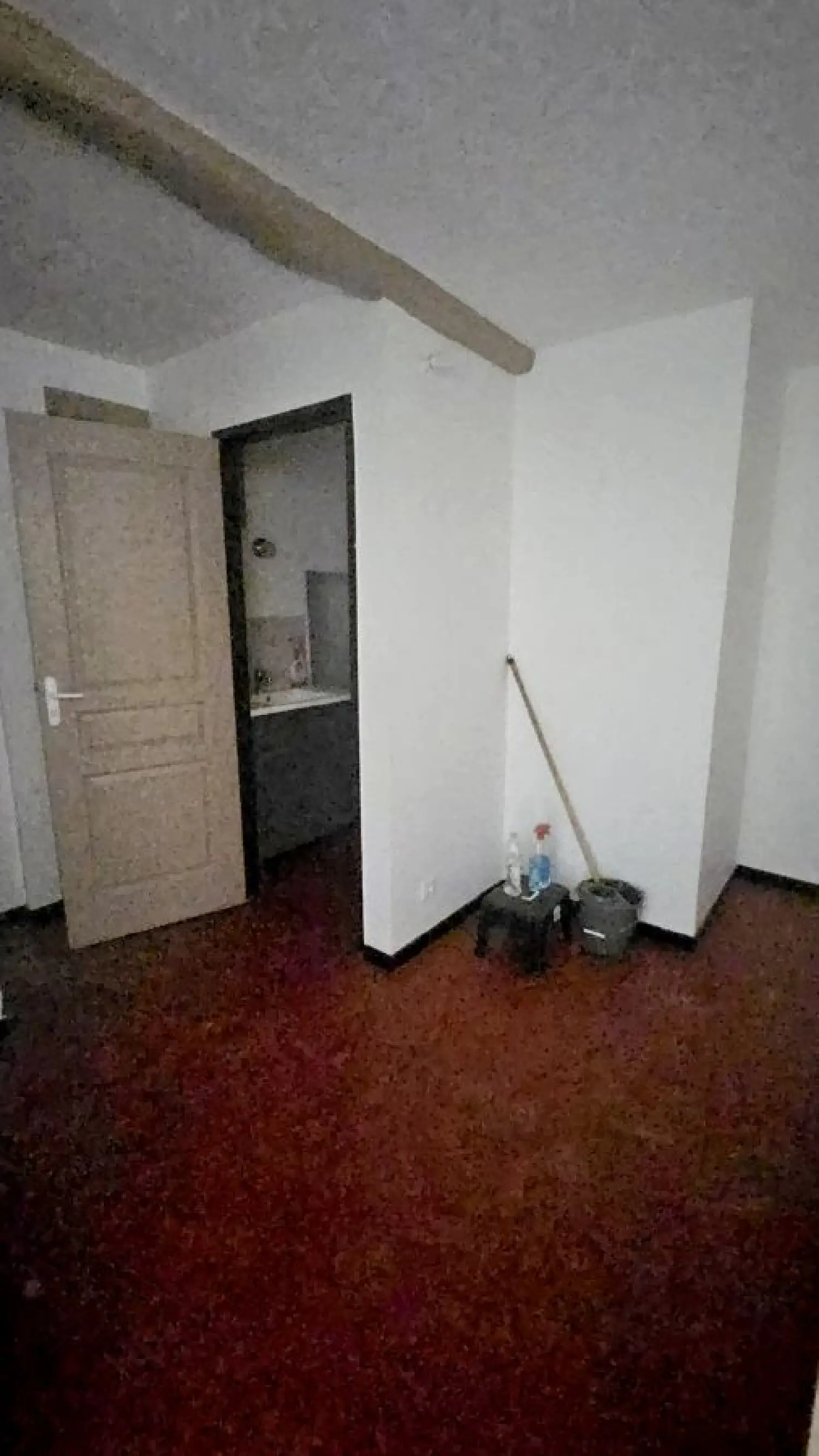  te koop huis Saint-André-de-Sangonis Hérault 4